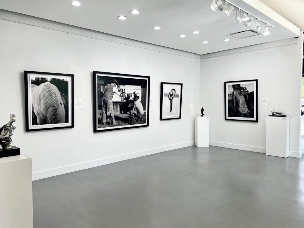 Beau Simmons, Markowicz Gallery, 2022