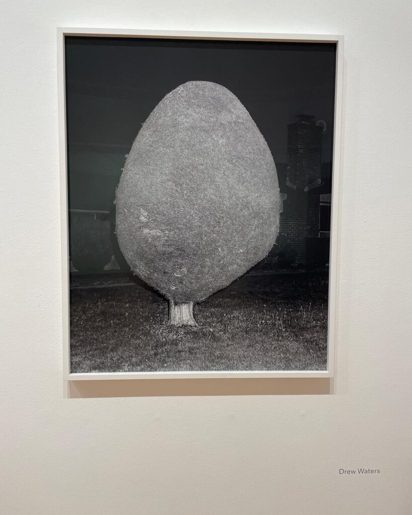 Drew Waters, Joseloff Gallery, 2022